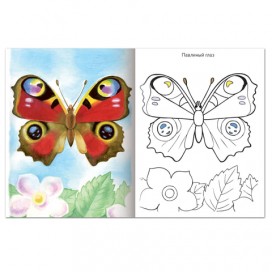 Книжка-раскраска А5, 8 л., HATBER, Первые уроки, 'Бабочки', 8Рц5 10352, R006703