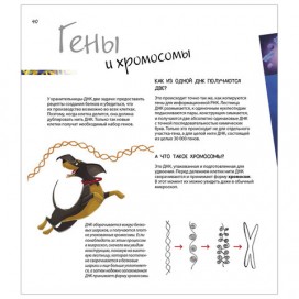 Удивительный мир генов. Нескучная наука. Боэрле П., К27984