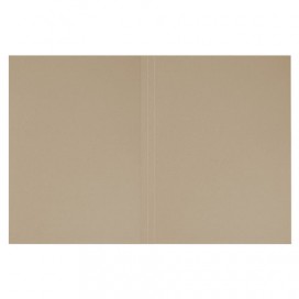 Папка без скоросшивателя 'Дело', картон мелованный, плотность 440 г/м2, до 200 листов, BRAUBERG