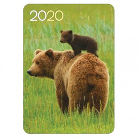 Календарь карманный 2020 г, 7х10 см, ламинированный, 'Животные', HATBER, 326510, Кк7