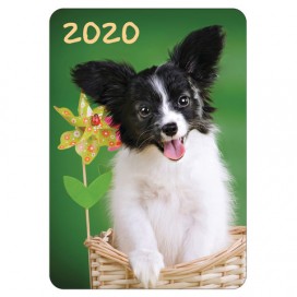 Календарь карманный 2020 год, 7х10 см, ламинированный, 'Щенки', HATBER, 326633, Кк7