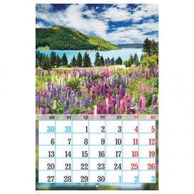 Календарь настенный перекидной 2020 г, 12 листов, 34х25,5 см, 'Природа', HATBER, 12Кнп3_19233