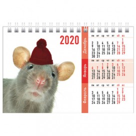 Календарь-домик 2020 год, на гребне, 160х105 мм, горизонтальный, 'Знак Года', HATBER, 12КД6гр_19133