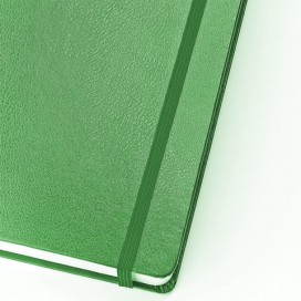 Бизнес-Блокнот, А5, 100 л., твердая обложка, балакрон, открытие вверх, Bruno Visconti, Зеленый, 3-103/03