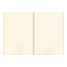 Альбом-скетчбук, кремовая бумага, А4, 210х297 мм, 150 г/м2, 32 л., склейка, BRAUBERG ART 'CLASSIC', 128955
