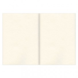 Альбом-скетчбук, кремовый, А3, 297х420 мм, 100 г/м2, 120 л., прошивка, BRAUBERG ART 'CLASSIC', 128959