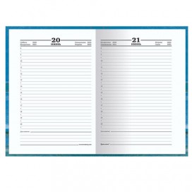 Ежедневник датированный на 4 года, BRAUBERG 'Каприз', А5, 133х205 мм, 192 листа, 129238