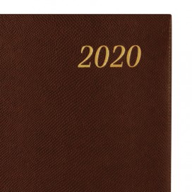 Ежедневник датированный 2020 А5, BRAUBERG 'Iguana', под кожу рептилий, золотой срез, коричневый, 138х213 мм, 129700