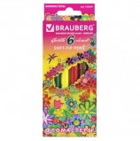 Фломастеры BRAUBERG 'Blooming flowers', 6 цветов, вентилируемый колпачок, картонная упаковка с фольгой, 150559