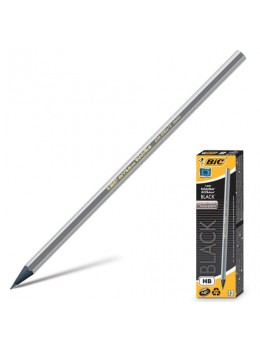 Карандаш чернографитный BIC, 1 шт., 'Evolution Black', HB, без резинки, пластиковый, корпус серебристый, заточенный, 896017