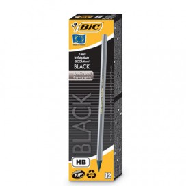 Карандаш чернографитный BIC, 1 шт., 'Evolution Black', HB, без резинки, пластиковый, корпус серебристый, заточенный, 896017