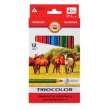Карандаши цветные утолщенные KOH-I-NOOR 'Triocolor', 12 цветов, трехгранные, 5,6 мм, заточенные, 3142012005KS