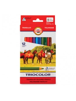 Карандаши цветные утолщенные KOH-I-NOOR 'Triocolor', 12 цветов, трехгранные, 5,6 мм, заточенные, 3142012005KS