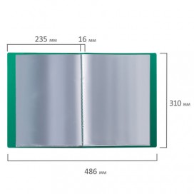 Папка 20 вкладышей BRAUBERG стандарт, зеленая, 0,6 мм, 221593