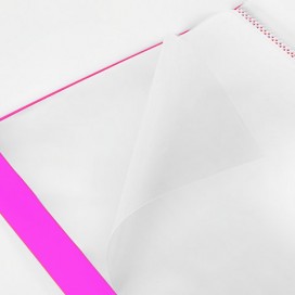 Папка 40 вкладышей BRAUBERG 'Neon', 25 мм, неоновая розовая, 700 мкм, 227454