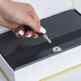 Сейф-книга '12 стульев', 60х170х240 мм, ключевой замок, BRAUBERG, 291058