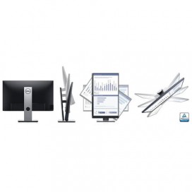 Монитор DELL P2419H 23,8' (60 см), 1920x1080, 16:9, IPS, 5 ms, 250 cd, VGA, HDMI, DP, USB, HAS Pivot, черный, 2419-2392