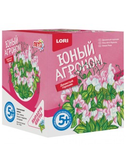 Набор для выращивания растений ЮНЫЙ АГРОНОМ 'Душистый горошек', горшок, грунт, семена, LORI, Р-005 Набор для выращивания растений ЮНЫЙ АГРОНОМ 'Душистый горошек', горшок, грунт, семена, LORI, Р-005