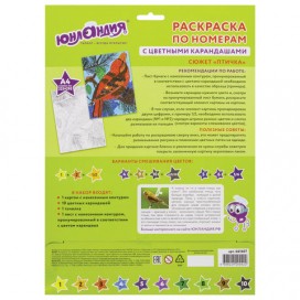 Раскраска по номерам А4, ЮНЛАНДИЯ 'ПТИЧКА', С ЦВЕТНЫМИ КАРАНДАШАМИ, на картоне, 661607