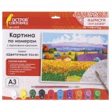 Картина по номерам А3, ОСТРОВ СОКРОВИЩ 'ЦВЕТОЧНЫЕ ПОЛЯ', С АКРИЛОВЫМИ КРАСКАМИ, картон, кисть, 661618