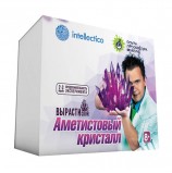 Набор для выращивания кристаллов 'Аметистовый кристалл', INTELLECTICO, 505